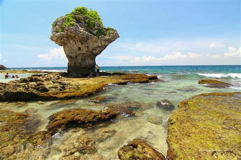 花瓶言|小琉球景點｜花瓶岩，賞景戲水好去處，海龜出沒時間、地點分